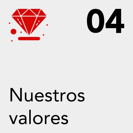 nuestros valores